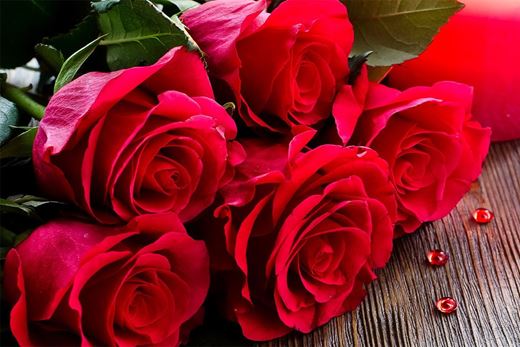 Tại sao tặng hoả hồng đỏ lòm sẽ là romantic và những loại hoả hồng đỏ lòm đẹp tuyệt vời nhất thế giới