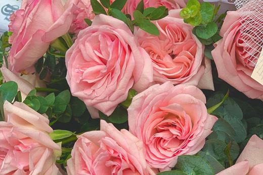 Cách bảo quản hồng O'hara