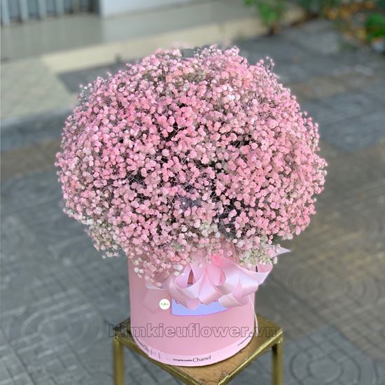 Hộp hoa baby hồng - HG357