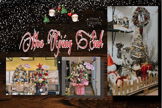 Các mẫu thiết kế hoa mừng Giáng Sinh đẹp ?