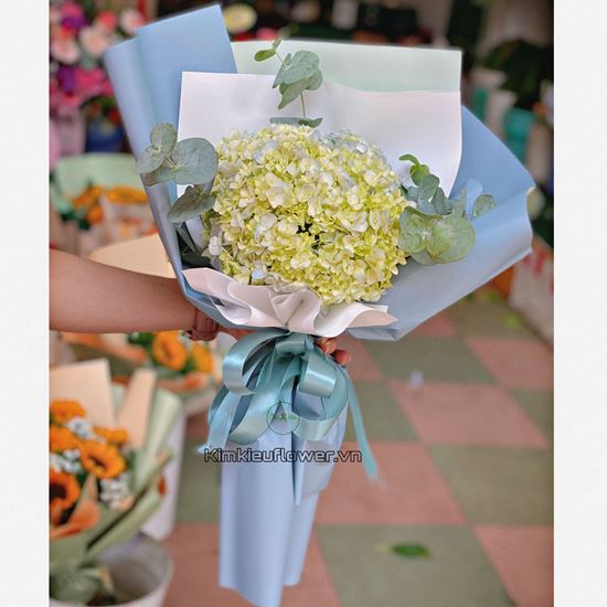 Bó hoa cẩm tú cầu - HB437