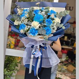 Bó hoa cúc mẫu đơn, xanh dương - HB472