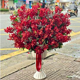 Bình hoa lan đỏ mokara - BI267