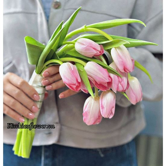 Bó hoa cưới tulip hồng - HC96