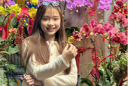 Chọn hoa Lan hồ điệp cho ngày tết ! Cách chăm sóc lan hồ điệp để tươi lâu!