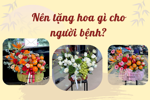 Nên tặng hoa gì cho người bệnh? Hoa tươi kết hợp trái cây tặng người bệnh