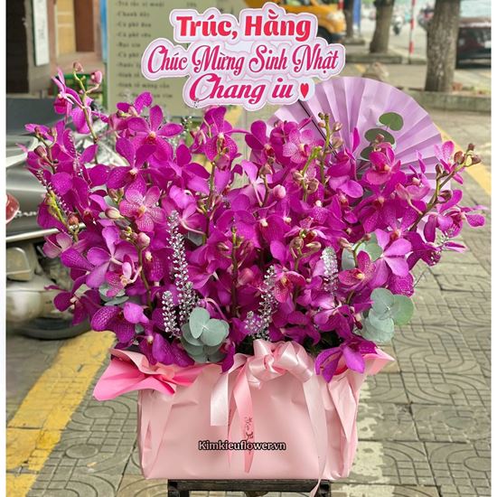 Hộp hoa lan tím mokara - PN88