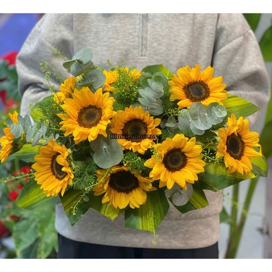 Đĩa hoa hướng dương - ĐH45