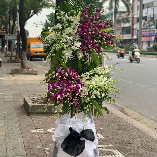 Kệ hoa lan tím, lan trắng-KV41