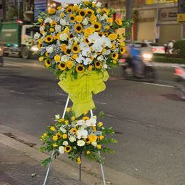 Kệ hoa chúc mừng lan hồ điệp , hướng dương-KH38