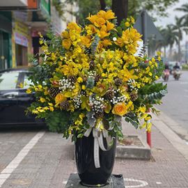 Bình hoa địa lan, lan vũ nữ- BI63