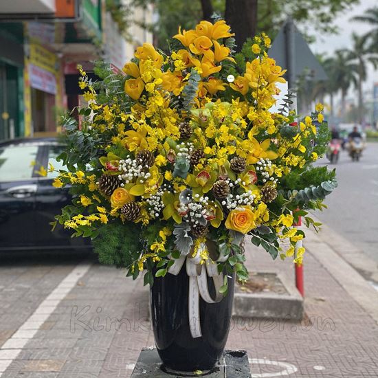 Bình hoa địa lan, lan vũ nữ- BI63