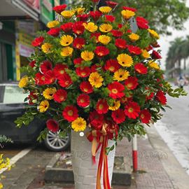 Bình hoa đồng tiền-BI65