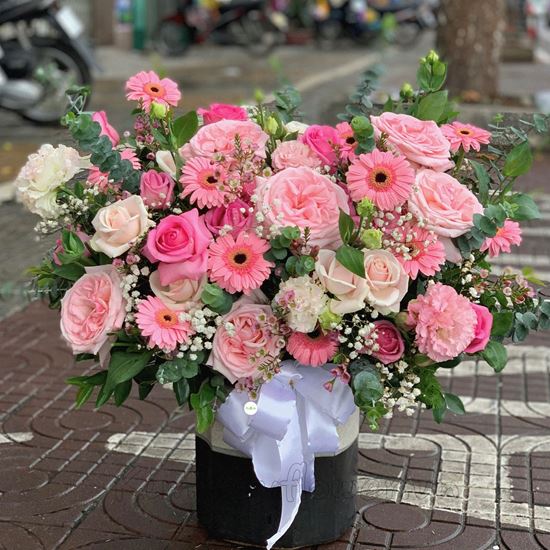 Bình hoa hồng ohara hồng, đồng tiền nhí- BI67 