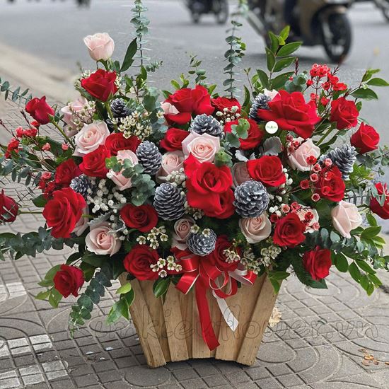 Lẵng hoa hồng đỏ, kem, quả thông - HG157