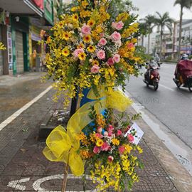 Kệ hoa lan vũ nữ, hồng Ohara - KH44