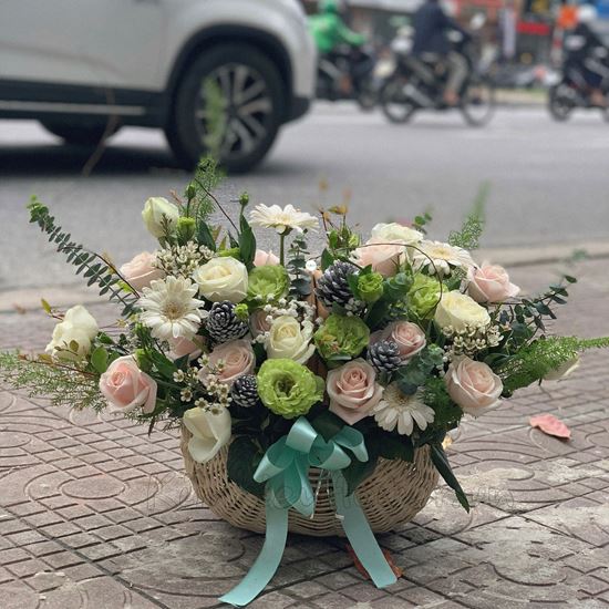 giỏ hoa hồng pastel, đồng tiền - HG161