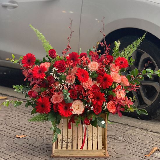 Lẵng hoa đồng tiền đỏ, hoa hồng- HG165