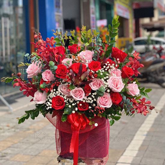 lẵng hoa hồng đỏ, kem, lan đỏ- HG168