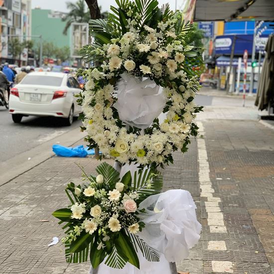 Vòng hoa cúc trắng, đồng tiền trắng - KV52