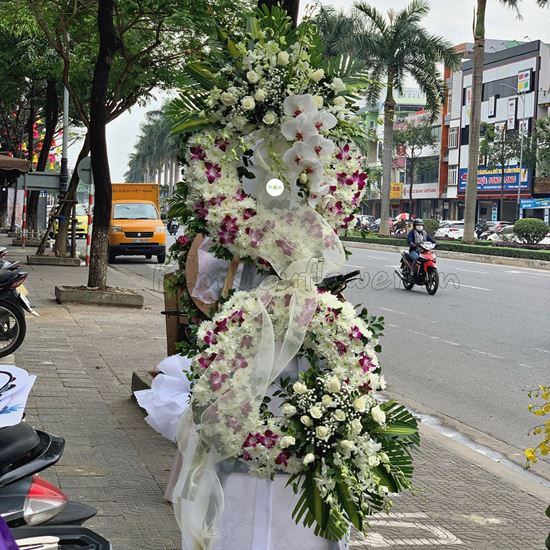 Vòng hoa viếng cúc indo, lan hồ điệp - KV60