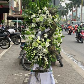 Vòng hoa cúc trắng, môn xanh - KV63 