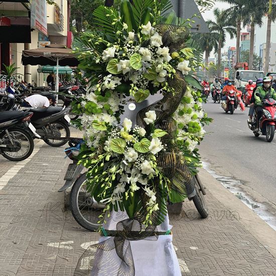 Vòng hoa cúc trắng, môn xanh - KV63 