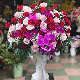 Bình hoa hồng đỏ, lan hồ điệp tím - BI84