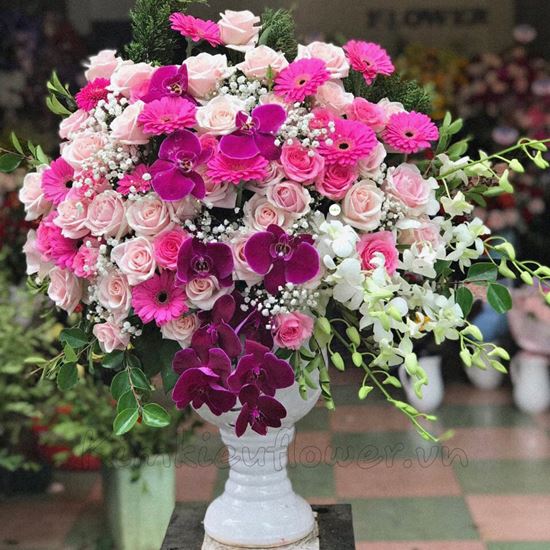 Bình hoa đồng tiền , lan hồ điệp -BI86