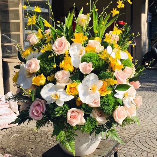 Bình hoa greenwisky, lan hồ điệp - BI87