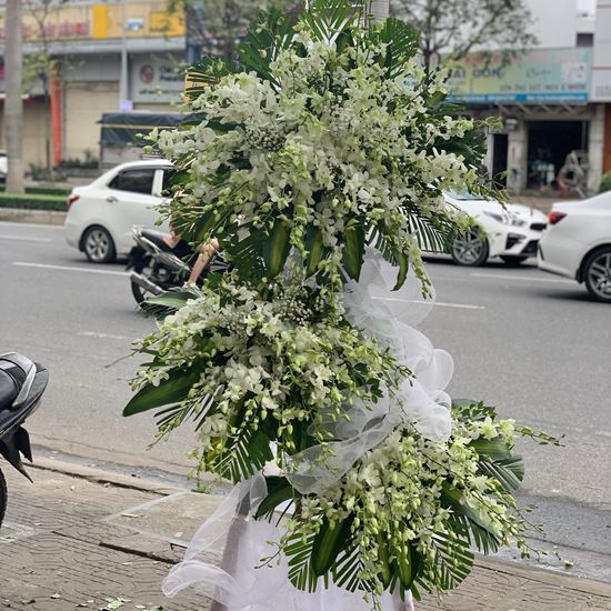 Kệ hoa viếng lan trắng - KV66