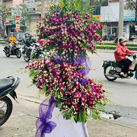 Kệ hoa viếng lan tím - KV67