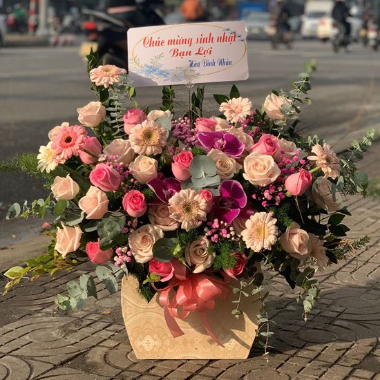 Lãng hoa hồng, đồng tiền - HG183