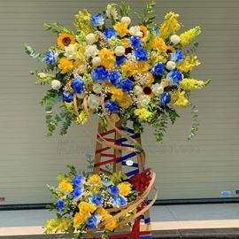 Kệ hoa mõm sói, hồng xanh - KH61