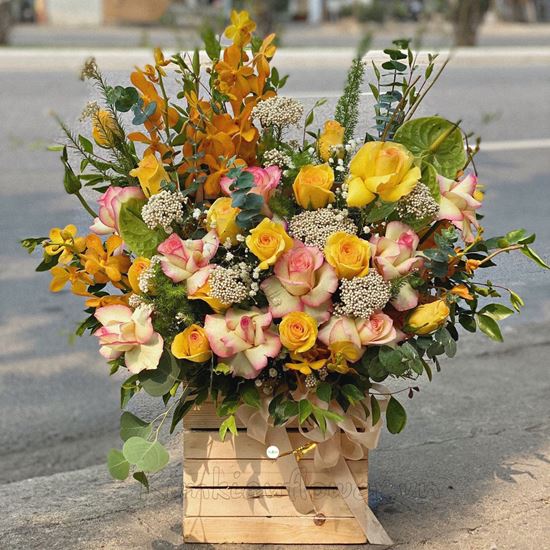 lẵng hoa hồng , lan vàng - HG190