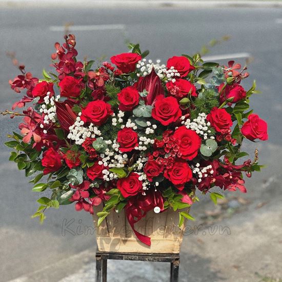 Lẵng hoa hồng đỏ, lan đỏ - HG197