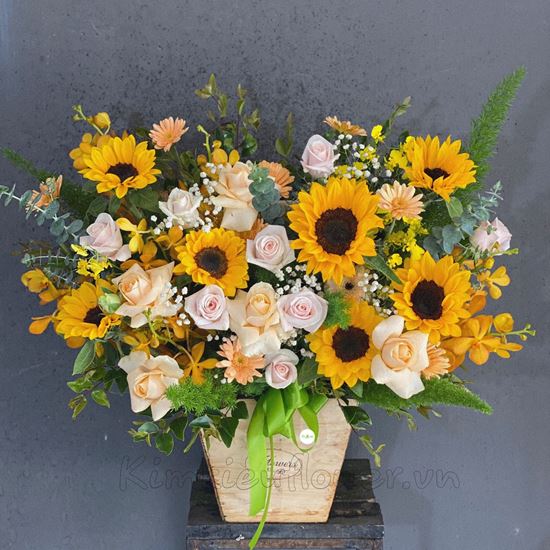 Lẵng hoa hướng dương, hoa hồng - HG198