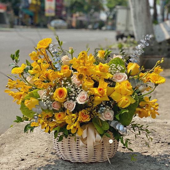 giỏ hoa hồng vàng, đồng tiền - HG202