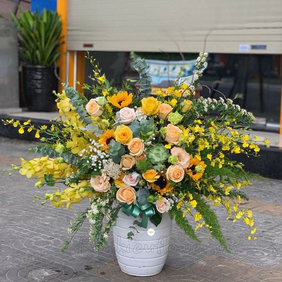 Bình hoa lan vũ nữ, hoa hồng - BI97