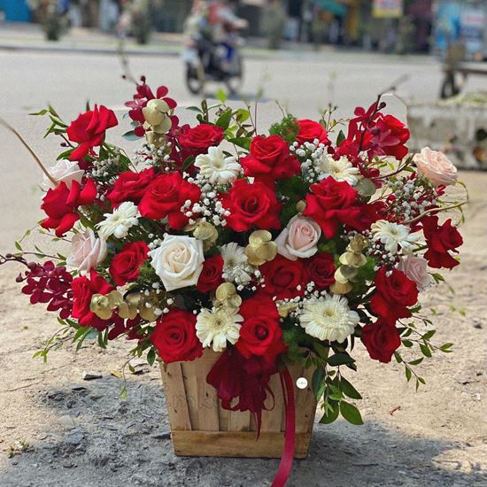 Lẵng hoa hồng đỏ, đồng tiền trắng - HG208