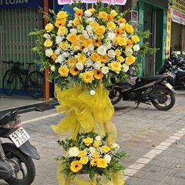 Kệ hoa hồng vàng, cát tường xanh - KH76