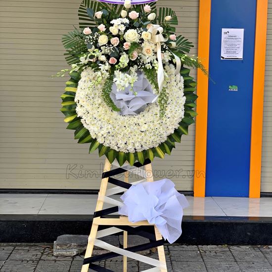 Vòng hoa cúc trắng - KV76
