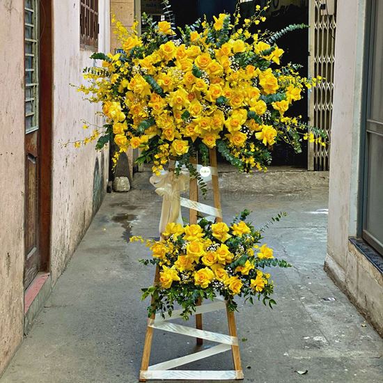 Kệ hoa hồng vàng, lan vũ nữ - KH78