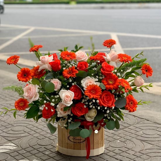 Lắng hoa đồng tiền cam, hoa hồng - HG214