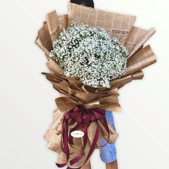 Bó hoa baby Hà Lan- HB74