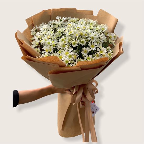 Bó hoa cúc họa mi -HB122