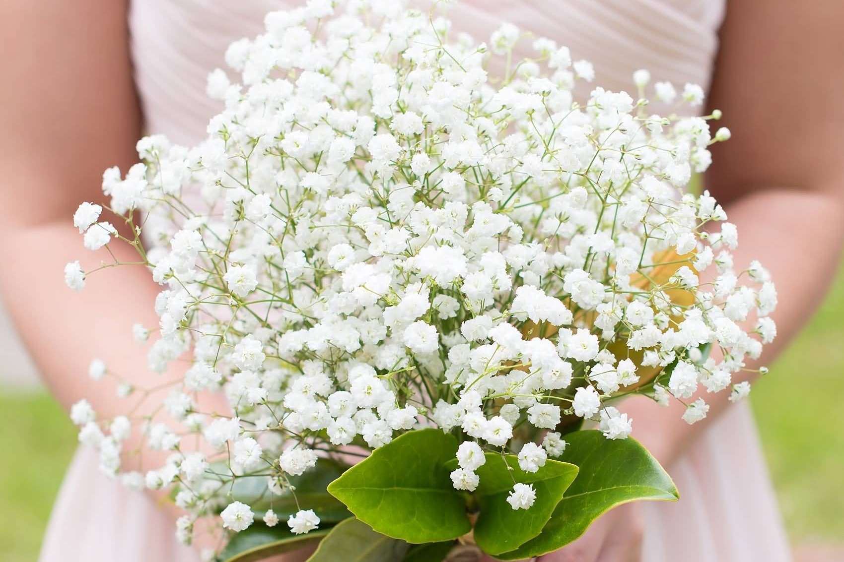 BÓ HOA BABY TRẮNG CẦM TAY CÔ DÂU