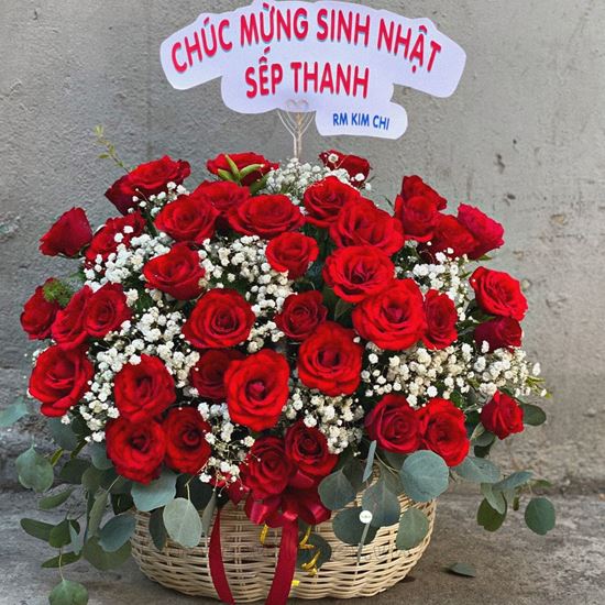 Lẵng hoa hồng đỏ, baby - HG218