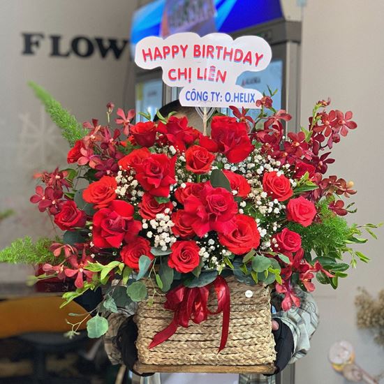 Lẵng hoa hồng đỏ, lan đỏ - HG221