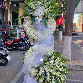 Vòng hoa cúc trắng, lan hồ điệp - KV77